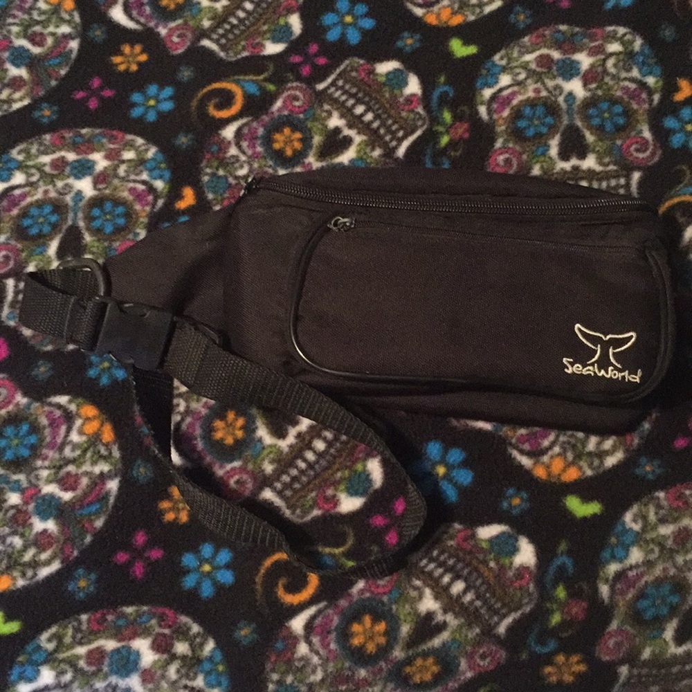 Seaworld Fanny pack